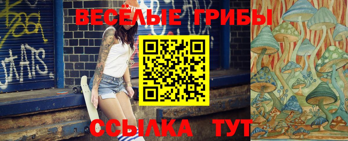 Якутск  Псилоцибиновые грибы MAGIC MUSHROOMS  Вход с VPN 