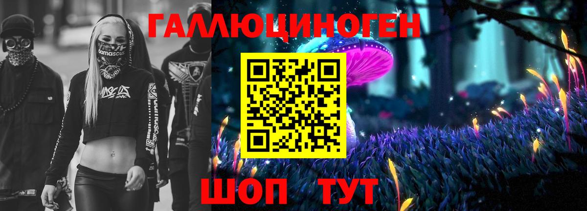 Псилоцибиновые грибы Psilocybe Якутск